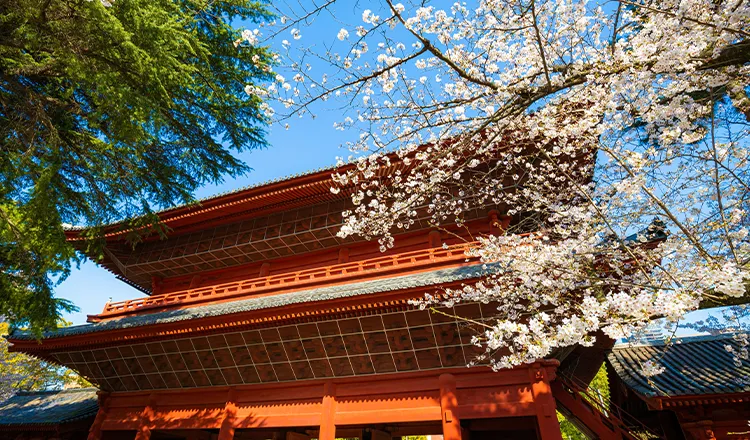 Zojoji Temple