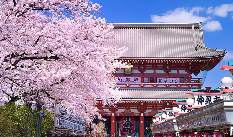 Asakusa 