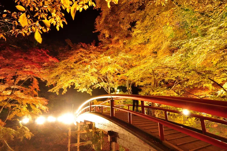 Autumn Foliage in Ikaho Onsen