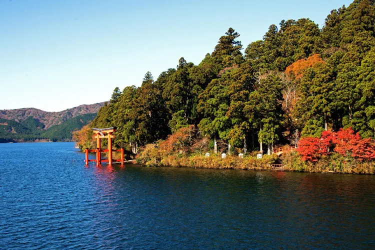 autumn in Hakone
