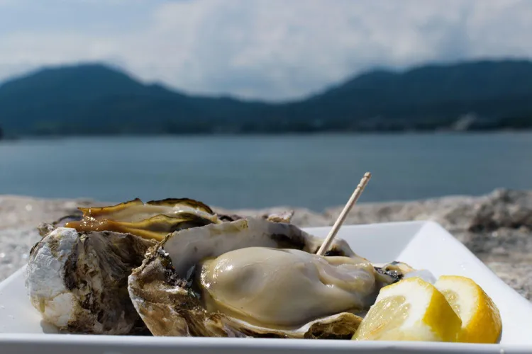 Oysters (カキ)