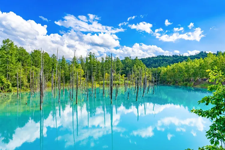 Summer in Hokkaido