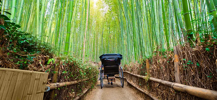 Arashiyama