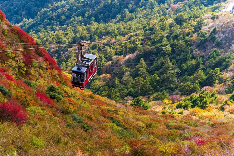 autumn foliage in Nagasaki