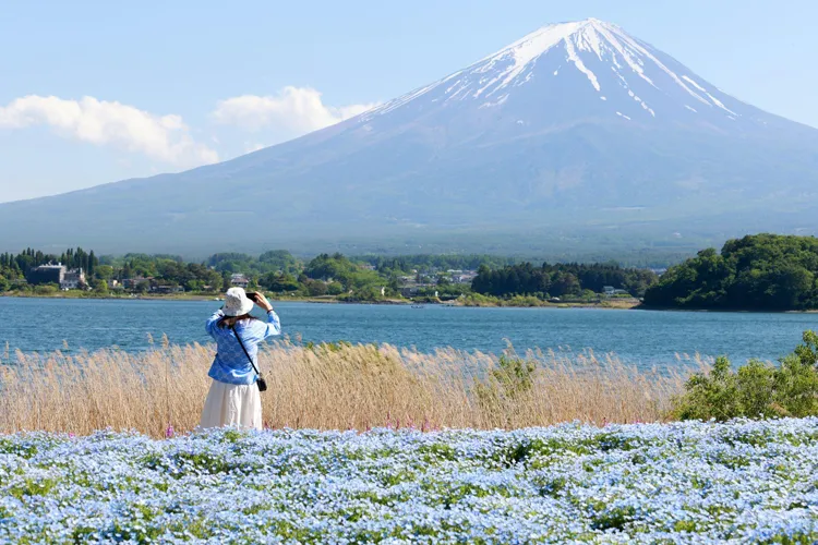 Lake Kawaguchi (Kawaguchiko)