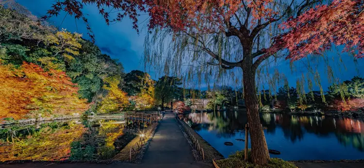 Nagoya