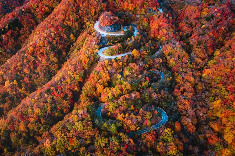 Autumn in Irohazaka