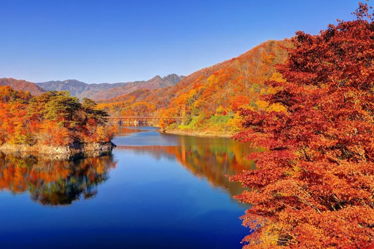 Autumn Foliage in Lake Kawamata