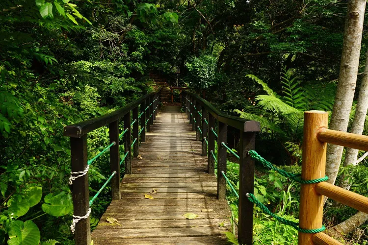 Yanbaru National Park (Okinawa Main Island)
