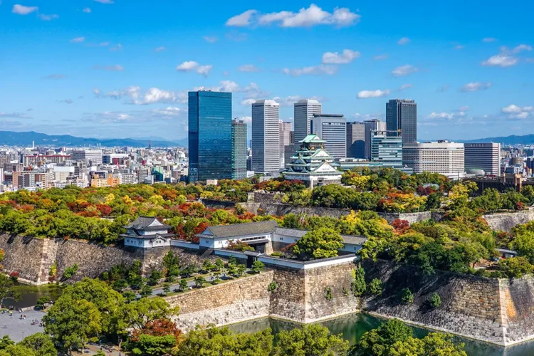 Autumn foliage in Osaka