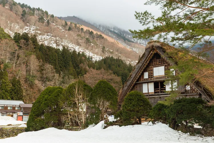 Wada House