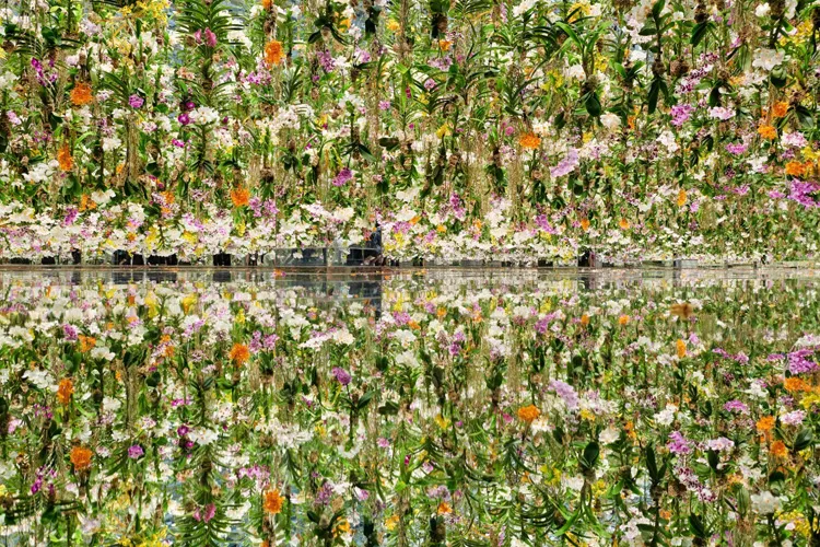 TeamLab