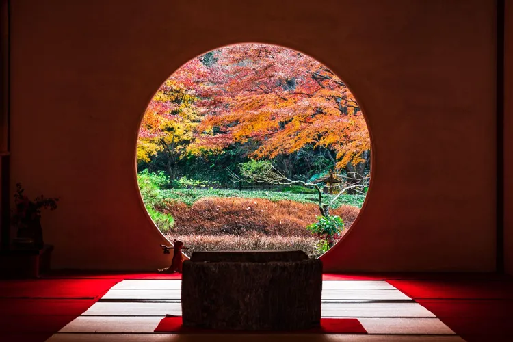 Autumn in Meigetsuin Temple