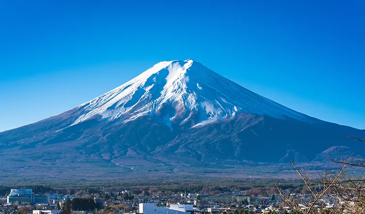 Mt. Fuji