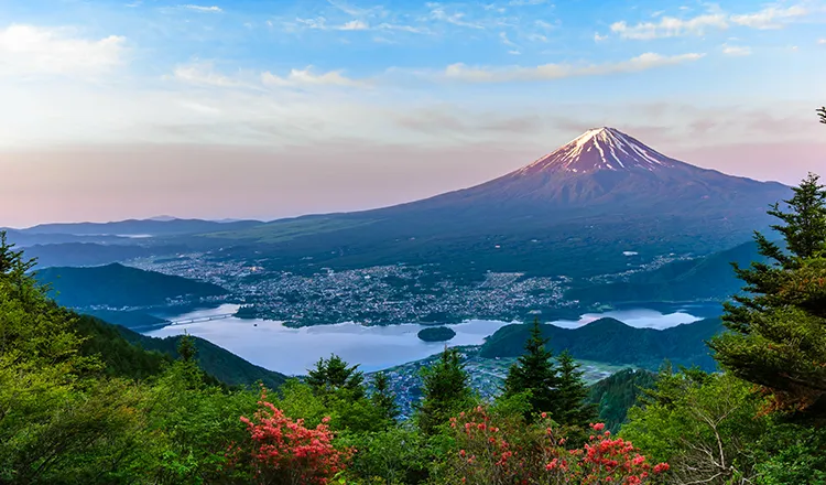 Mt. Fuji