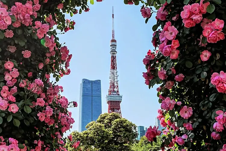 Tokyo Tower