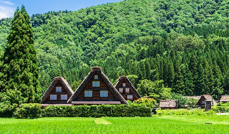 Shirakawago