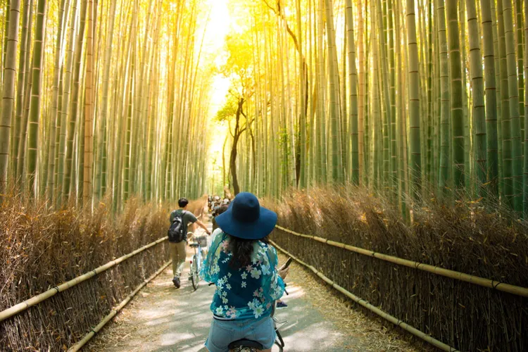 Arashiyama Bamboo Grove