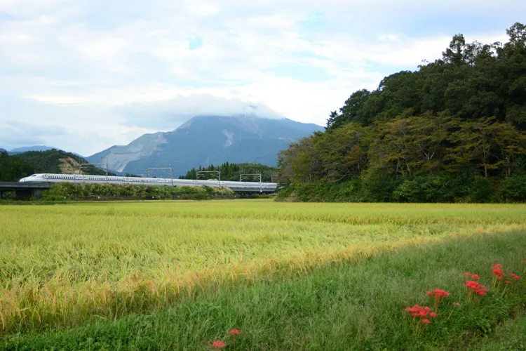 Shinkansen bullet train traveling between Tokyo and Kyoto