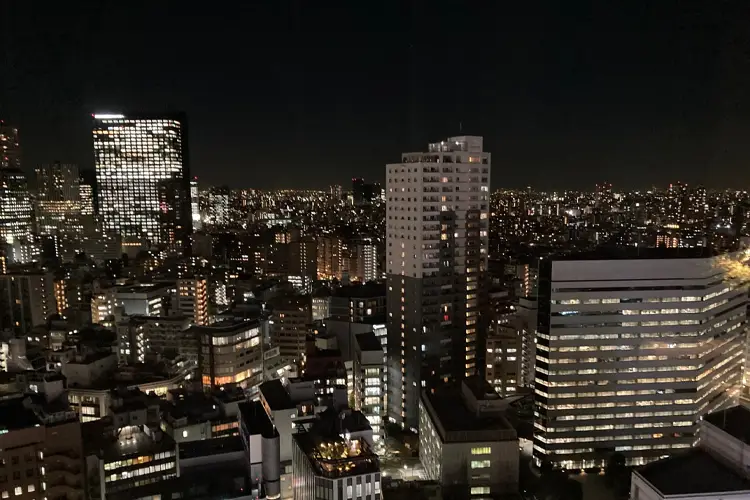 Tokyu Kabukicho Tower