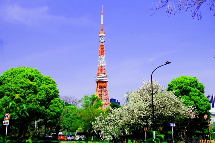 Tokyo Tower