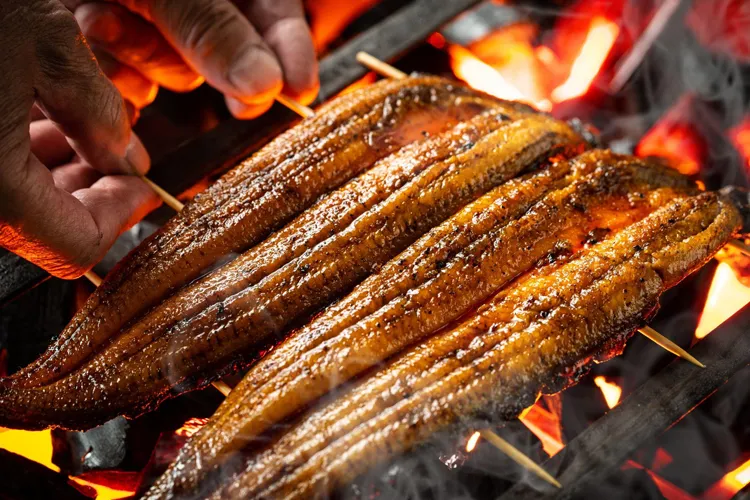 unagi (eel)