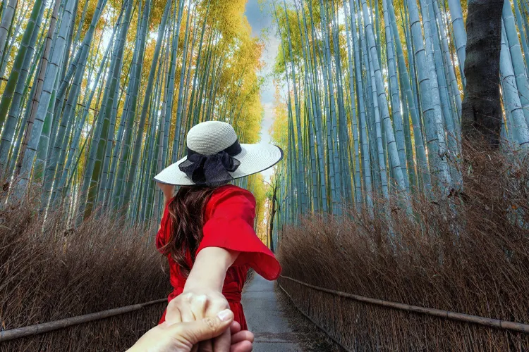 Bamboo Forest of Arashiyama