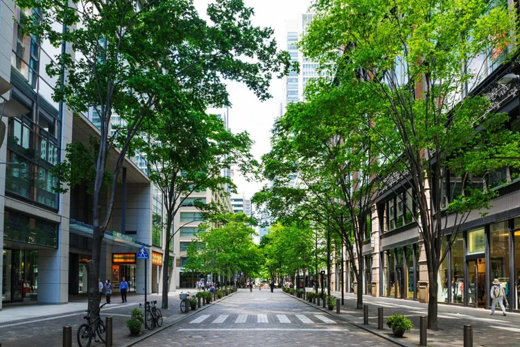 Marunouchi Naka-dori Street