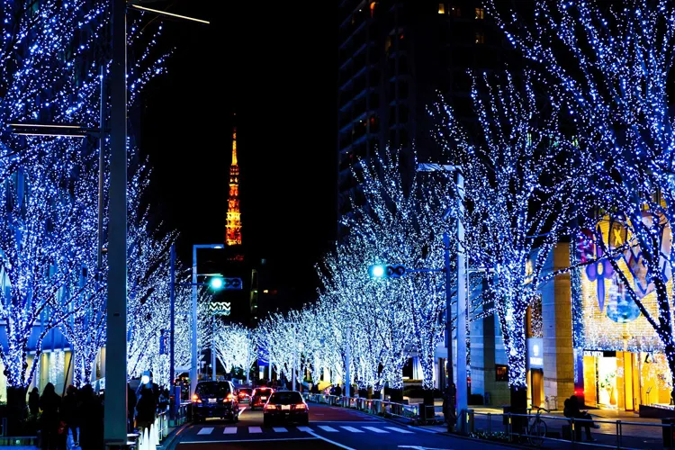 Fantastic illuminations on Keyakizaka Street