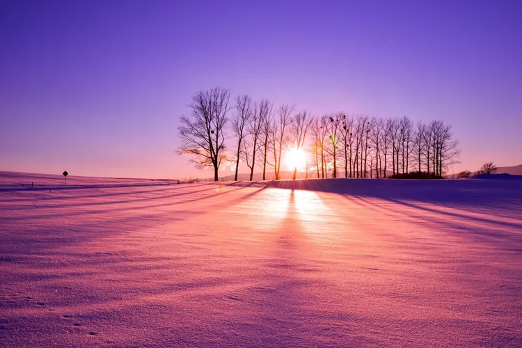 Furano, Hokkaido in winter