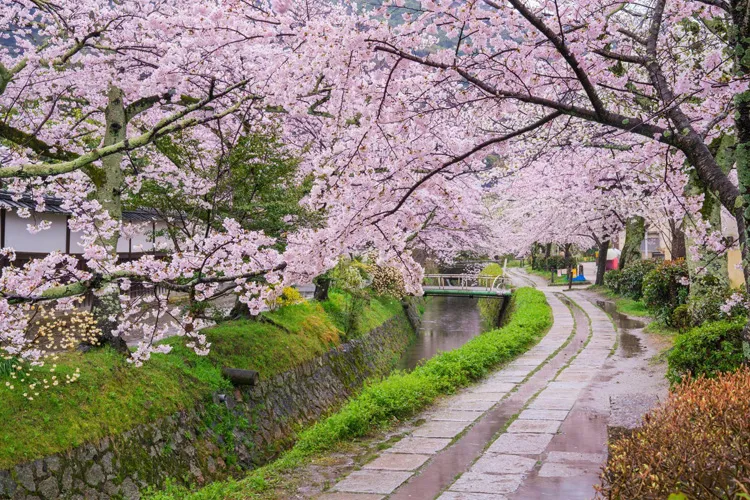 Philosopher’s Path