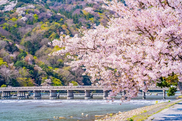 Arashiyama
