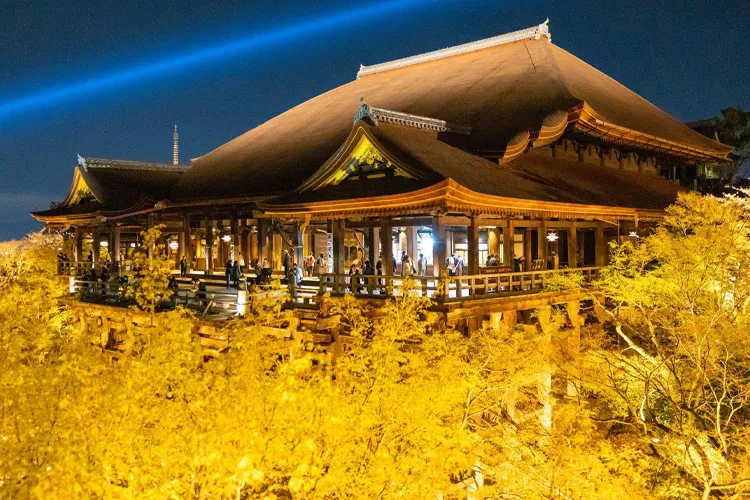 Kiyomizudera Light-Up