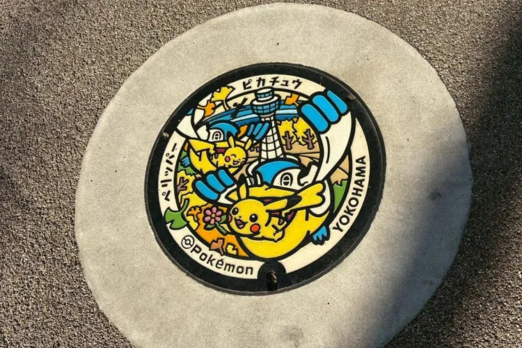 Pikachu & Pelipper Poké Lid