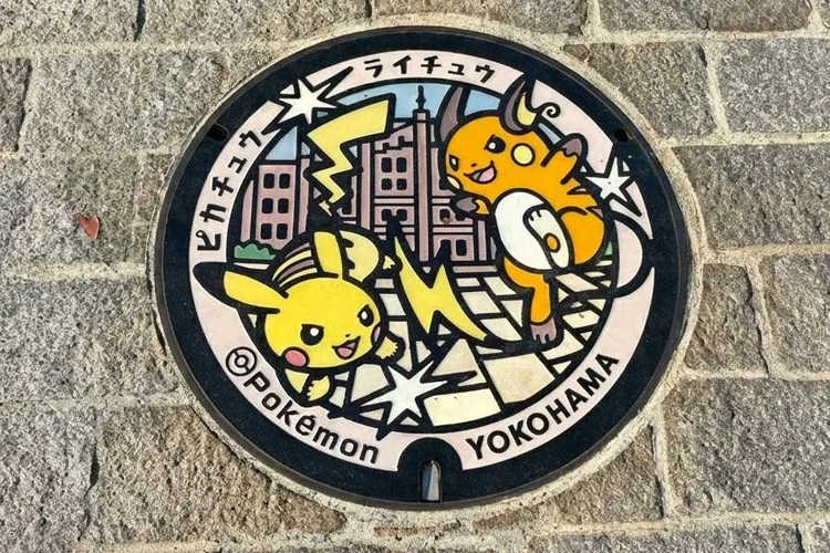 Pikachu & Raichu Poké Lid