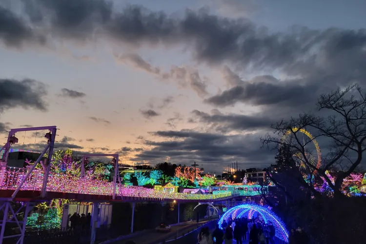 Night view of Yomiuriland