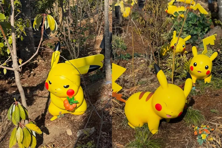 Pokémon Forest
