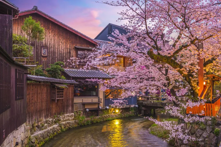 Night view of Shirakawa River in Gion
