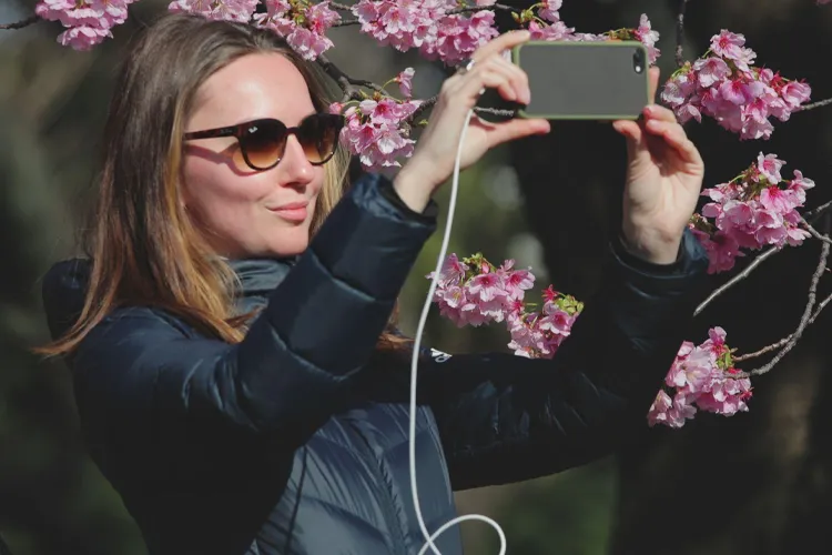 Enjoying the sakura season in Tokyo.
