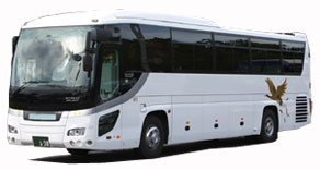 Large Size Bus