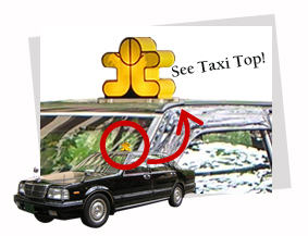 Taxi Top