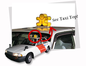 Taxi Top