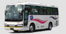 Medium Size Bus