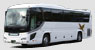 Large Size Bus