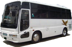 Small Size Bus