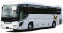 Large Size Bus