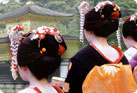 Kyoto One Day Tour Transfer