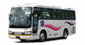 Medium Size Bus
