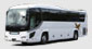 Large Size Bus