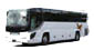 Large Size Bus
